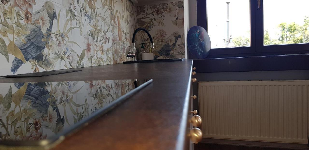 Astronomiczny Apartament , Mieszkanie 2 Pokojowe. Parking. Stary Toruń Exteriér fotografie